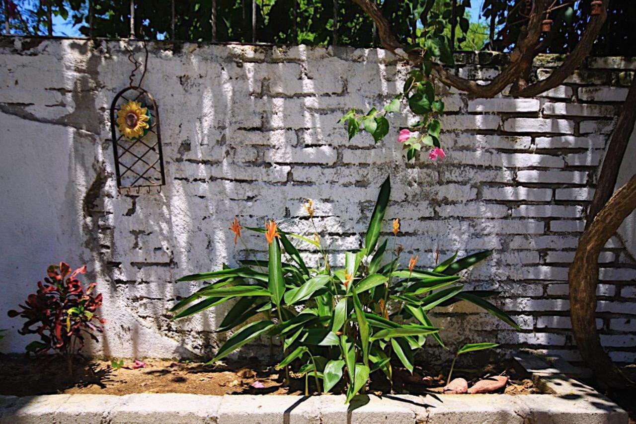 Casita Piedra Apartment Puerto Escondido  Exterior photo